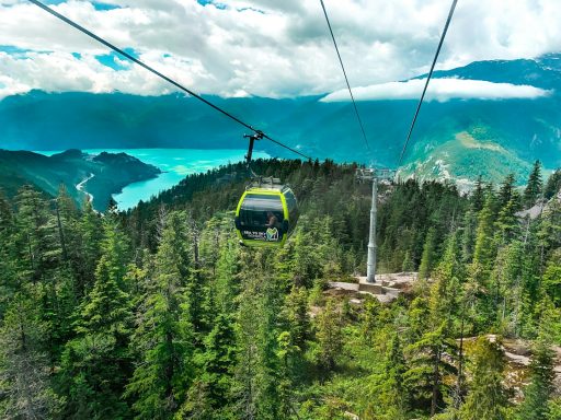 Cable car passing over lush green trees with a scenic lake and mountains in the background.
