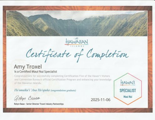 Certificate of completion awarded to Amy Troxel, dated November 8, 2023.