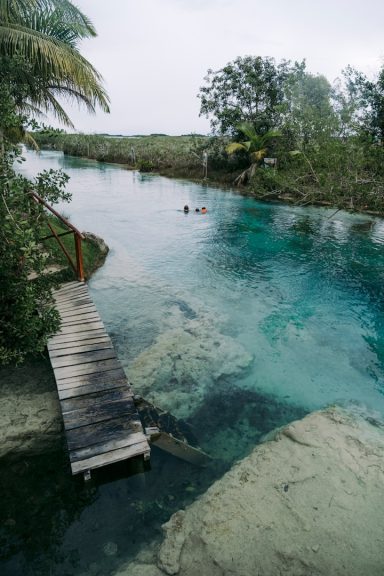 Bacalar A serene natural swimming area with clear water and a wooden dock surrounded by trees.