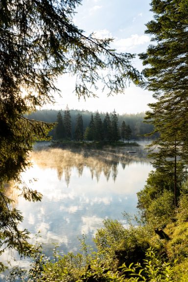 Serene lake surrounded by trees, reflecting the sky and mountains in the water.