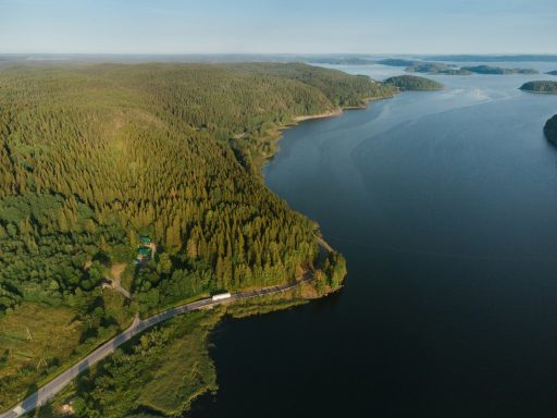 Aerial view of a lush green landscape next to a calm river and distant hills.