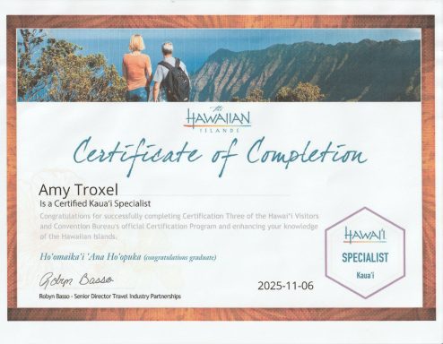 Certificate of completion for Amy Troxel, Travel Specialist, dated November 6, 2023.