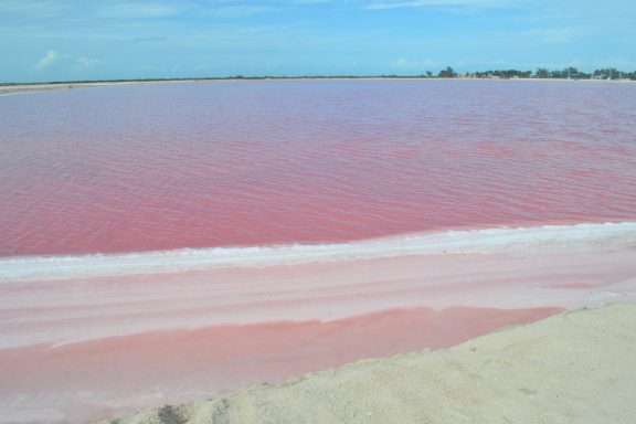 Las Coloradas A serene pink saltwater lake with a sandy shoreline under a blue sky.