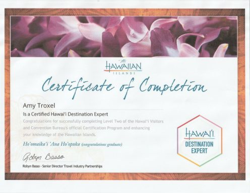 Certificate of completion awarded to Amy Troxel for an artisan course at Hawaiian Art.